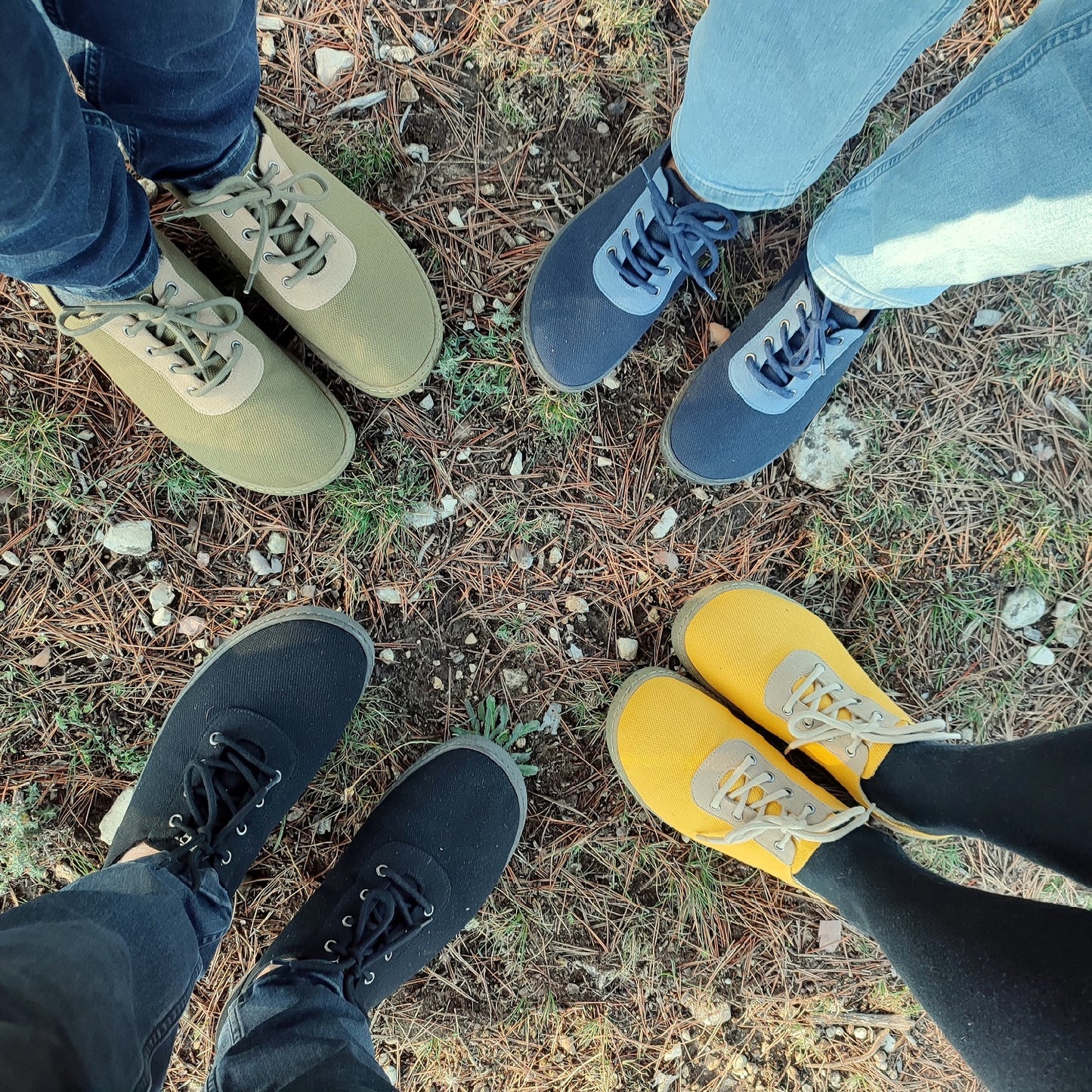 Collection Primi basse