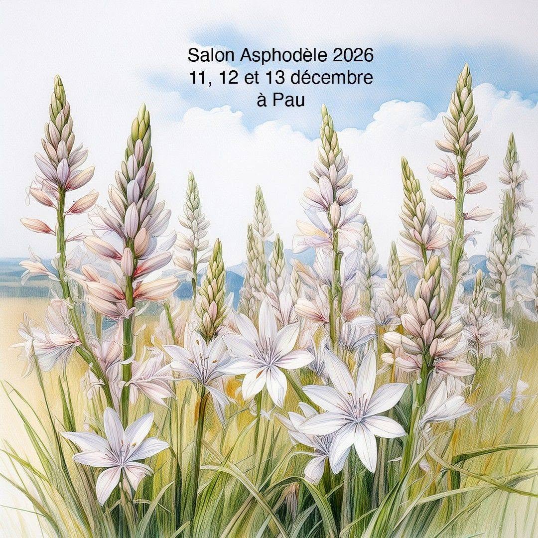 11 au 13 décembre 2026 - Salon Asphodèle - Pau (64) - Télito