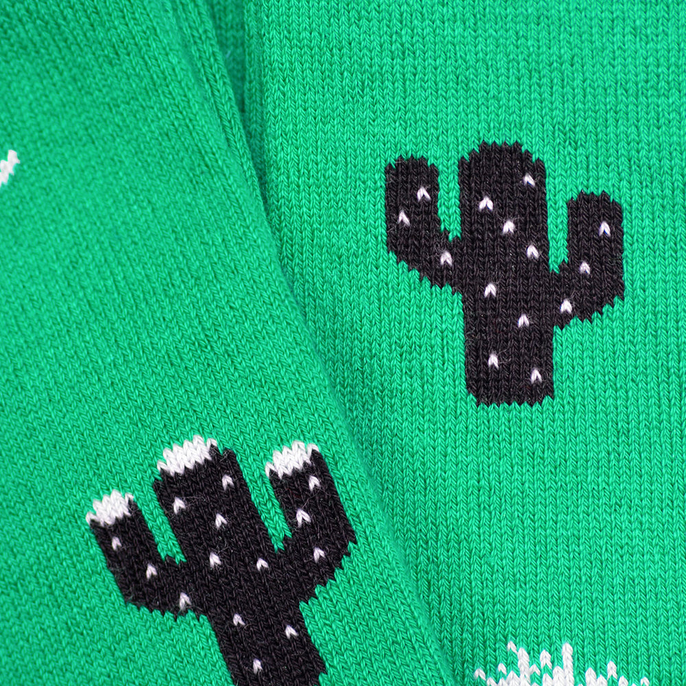 
                  
                    Arctic Bay - Cactus
                  
                