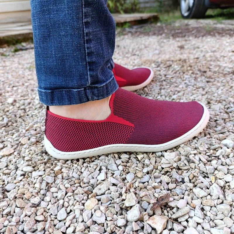 Vilo Bordeaux - variant_name - Télito