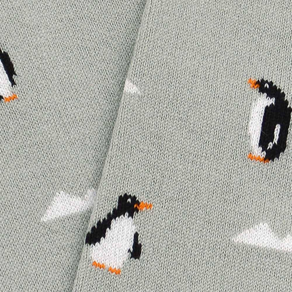 
                      
                        Arctic Bay - Penguins
                      
                    