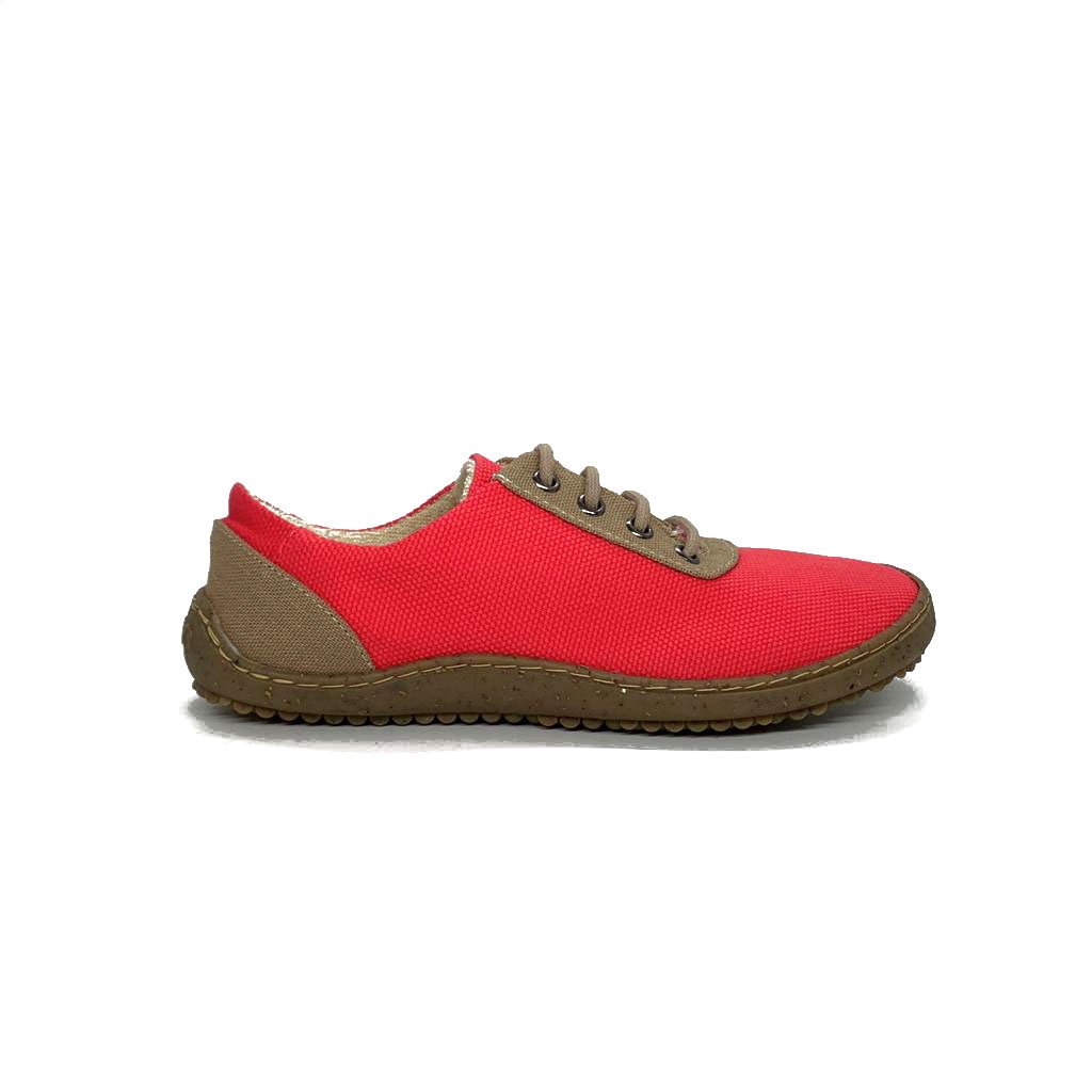 Primi Corail - variant_name - Télito