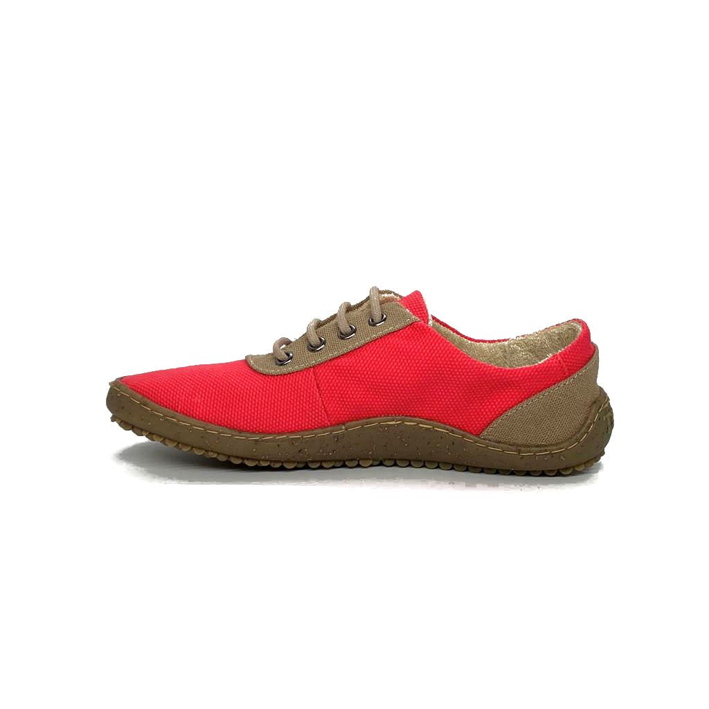Primi Corail - variant_name - Télito